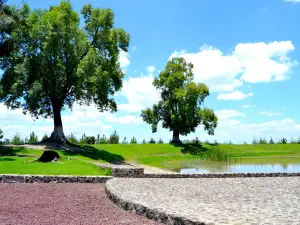 Tecoaque Zona Arqueologica
