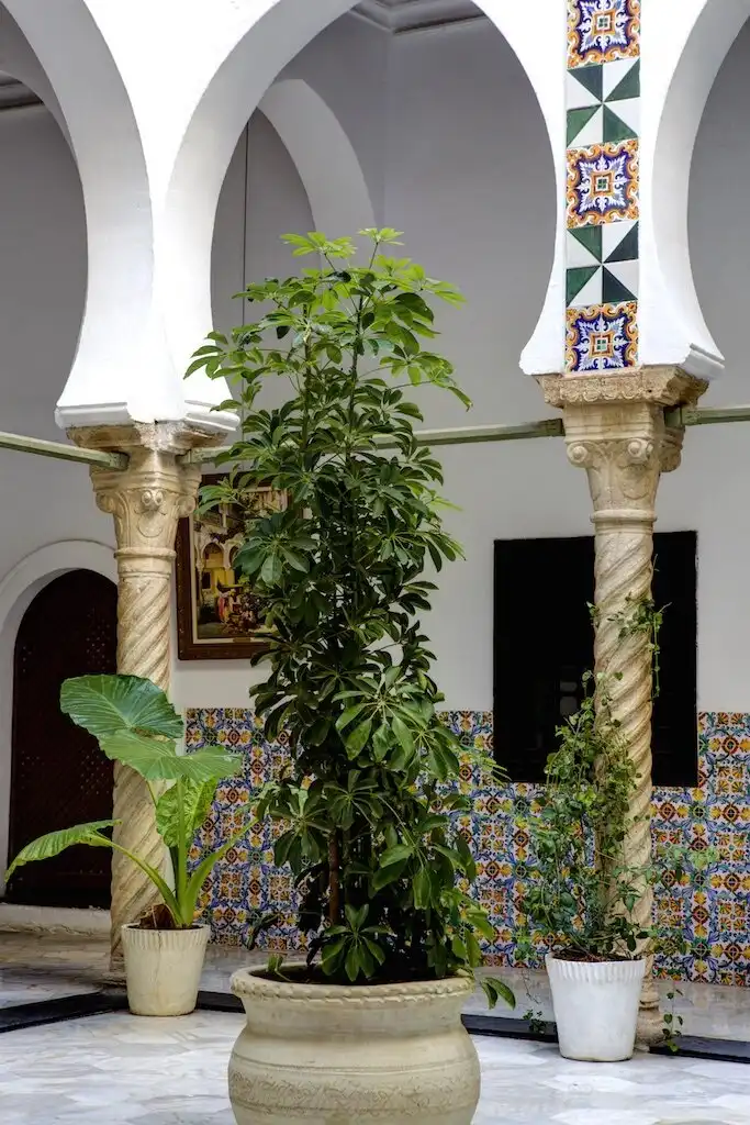 4_Raïs Palace