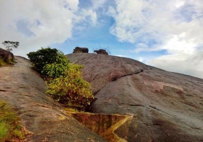 Jatayu Earth's Center