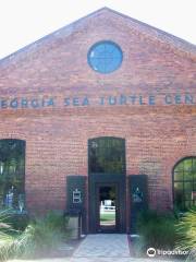 Georgia Sea Turtle Center