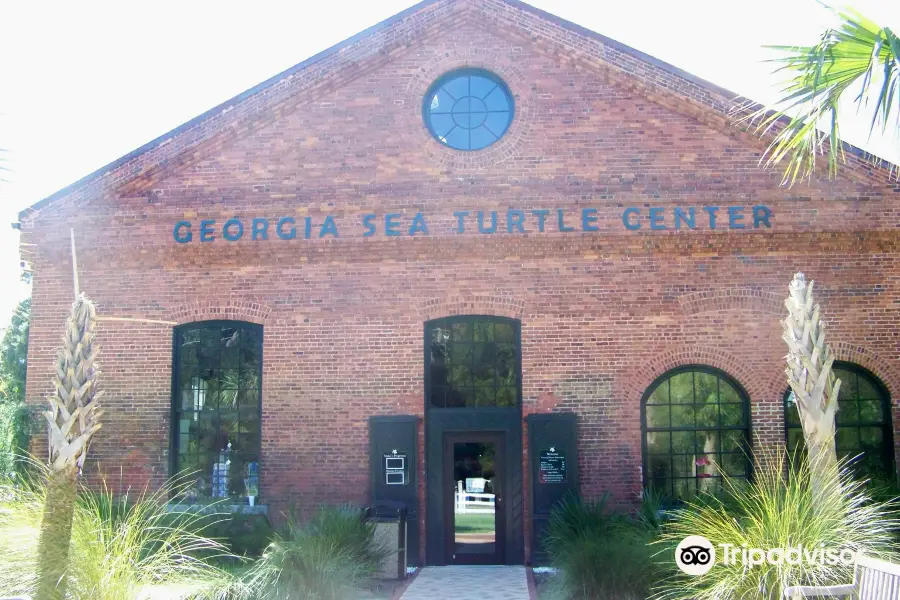 Georgia Sea Turtle Center