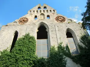 St. Nicolai Ruin