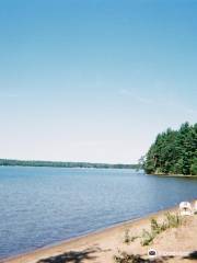 Northern Highland American Legion State Forest North Trout Lake Campground