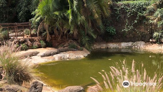 Mamba Village Centre