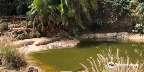 Mamba Village Centre