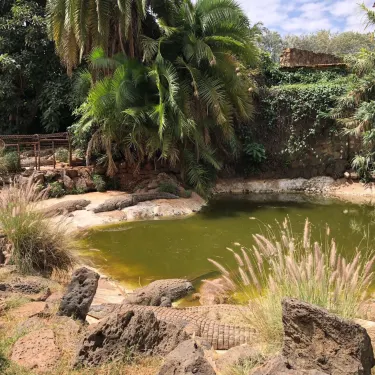 Mamba Village Centre