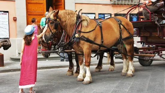 I Cocchieri di' Chianti