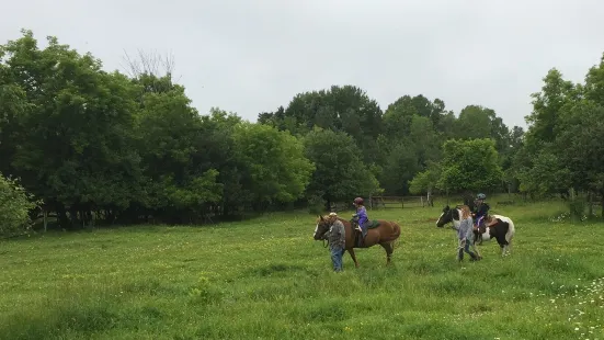 Howell's Riding Stable