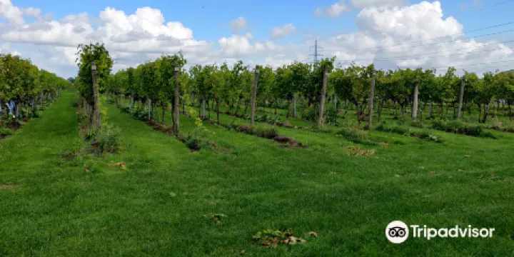 Wijngoed de Reestlandhoeve