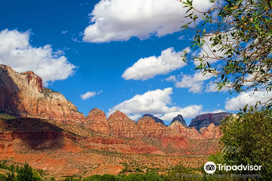 Zion Canyon Scenic Drive