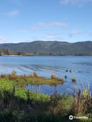 Te Anau Bird Sanctuary