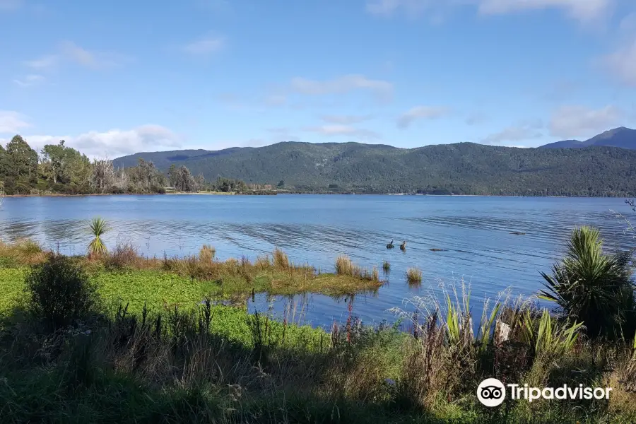 Punanga Manu o Te Anau / Te Anau Bird Sanctuary