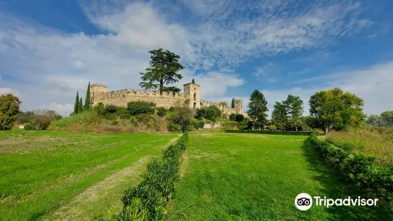 Castellaro Lagusello