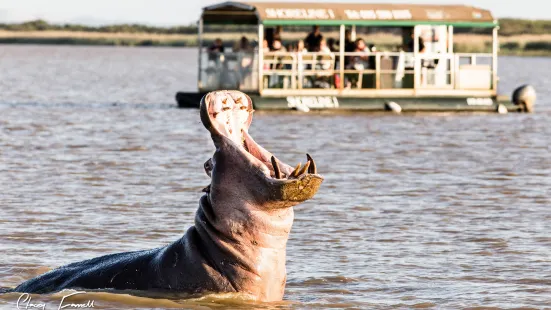 Shoreline Hippo and Croc Cruises