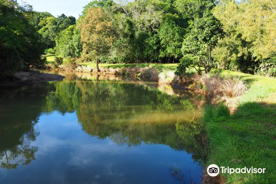 Bonadio's Mabi Wildlife Reserve