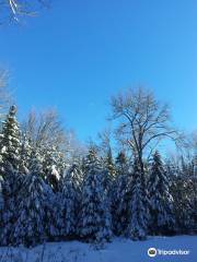 Killarney Lake