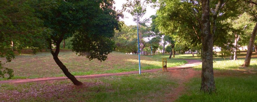 Bosque do Leão