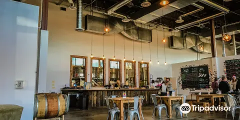 Mustang Sally Brewing Company