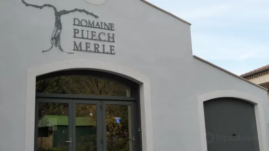 Domaine Puech Merle