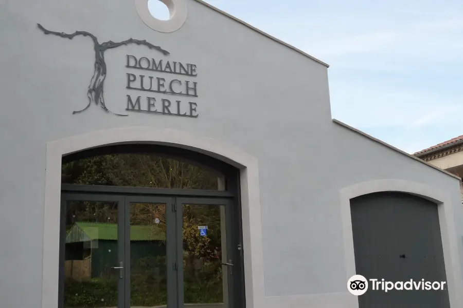 Domaine Puech Merle