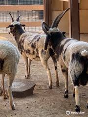 オレンジ郡動物園