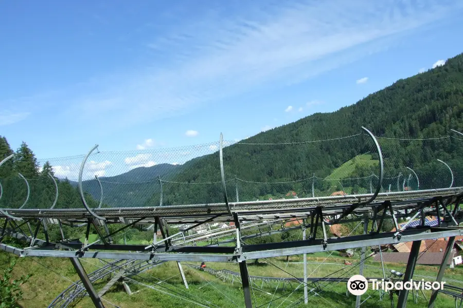 Sommerrodelbahn Gutach