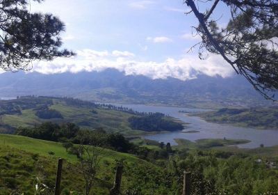 La Reserva Nacional Forestal Bosque de Yotoco