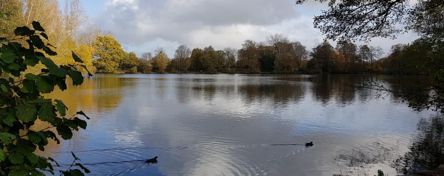 Broadwater Park