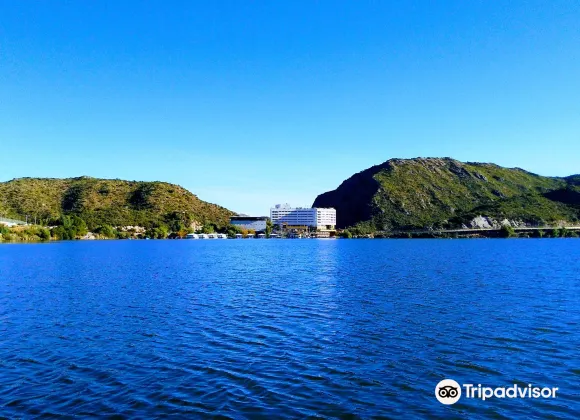 波特雷羅德洛斯弗內斯