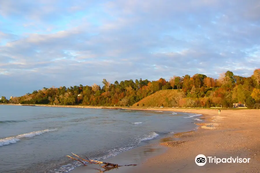 Cove Beach