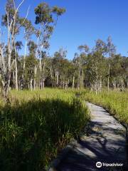 Fay Smith Wetlands