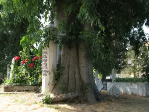 Hasan Sezai Tomb