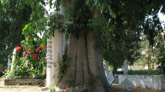 Hasan Sezai Tomb