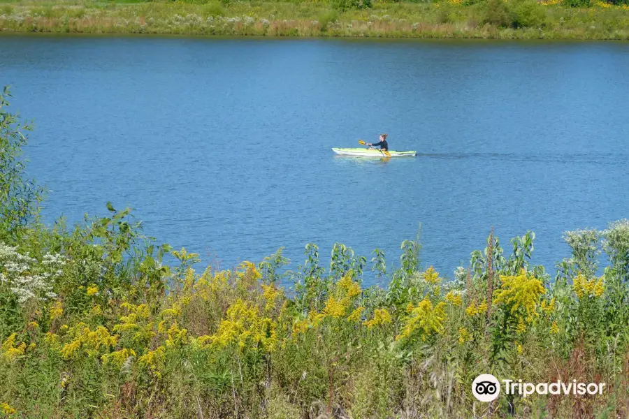 Terry Trueblood Recreation Area