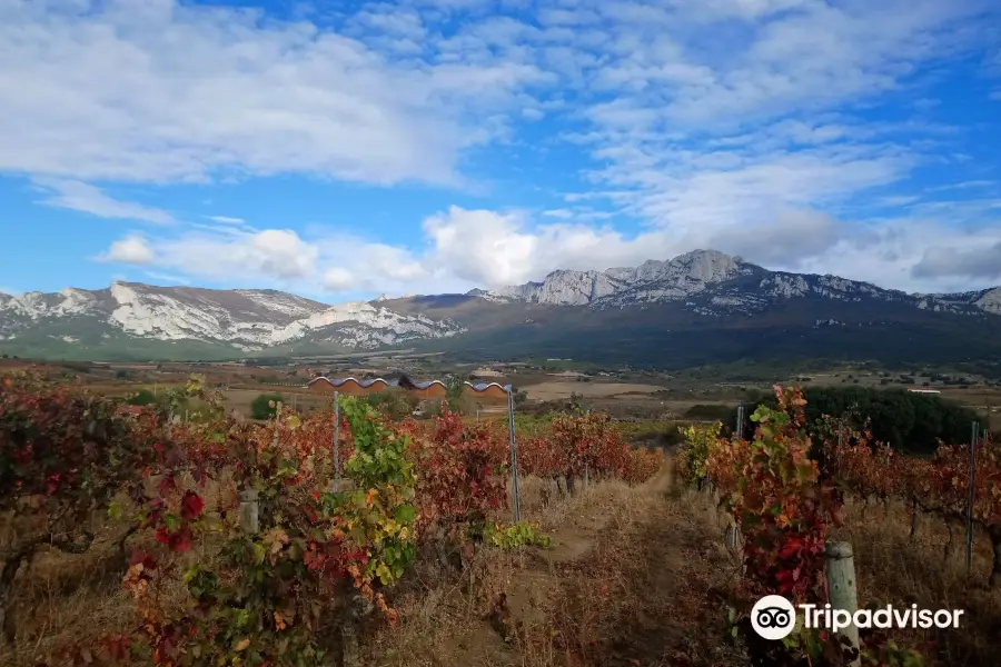 Bodegas Vallobera