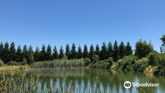 GoatHouse Brewing Co.