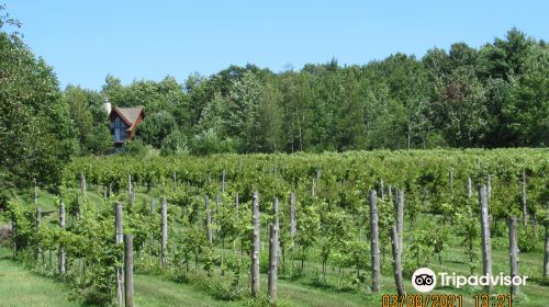 Au Vignoble d'Orford