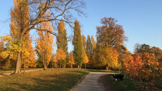 Staatspark Furstenlager