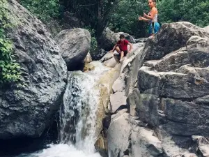 Baby Bathtubs Trail