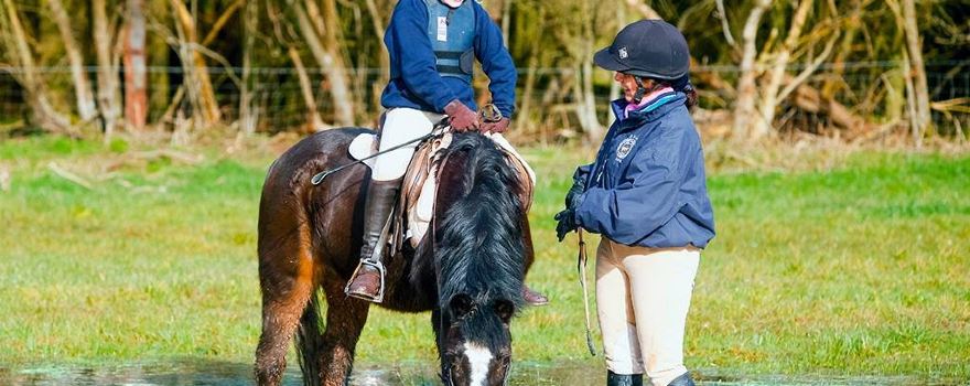 Noakes Farm Riding Centre