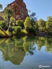 Palm Springs Nature Reserve