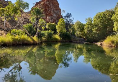 Palm Springs Nature Reserve