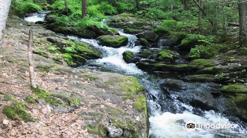 Garwin Falls