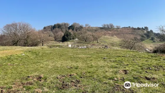 Parco Archeologico Culturale di Tuscolo