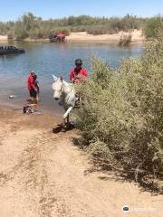Desert Horse Adventures