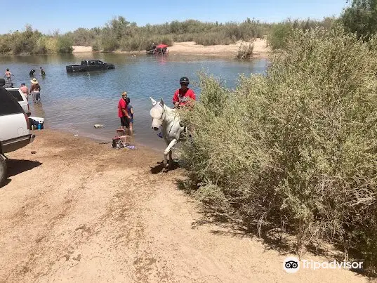 Desert Horse Adventures