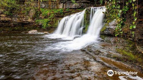 Cotter Force