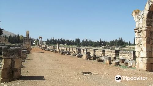 Umayyad City Ruins