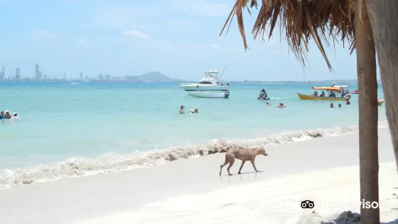 Playa Punta Arena-Tierra Bomba