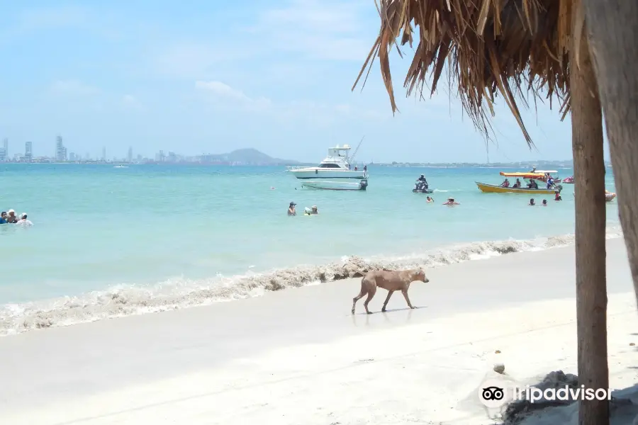 Playa Punta Arena-Tierra Bomba